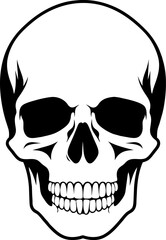 human skull isolated vector illustration hand drawing skeleton sketch. Illustration for Halloween