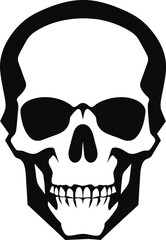 Skull vector illustration. Human head skeleton icon.