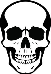 The skull icon. Black silhouette of a human skull. Vector illustration isolated on a white background for design and web.