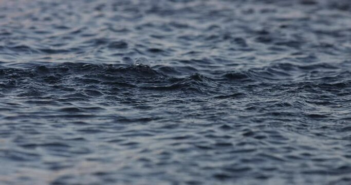 slow motion close up of a rock splashing in a river