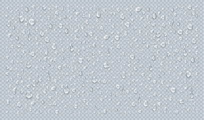 Realistic vector water drops collection on transparent background
