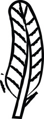 Robin feathers hand drawn vector illustration