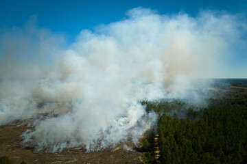 Aerial view of white smoke from forest fire rising up polluting atmosphere. Natural disaster concept