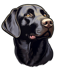 Labrador Retriever Close Up Face Portrait Illustration