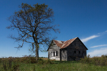 Obraz premium Old abandoned homestead with tree and blue sky