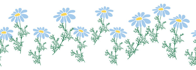 Chamomile horizontal border seamless pattern