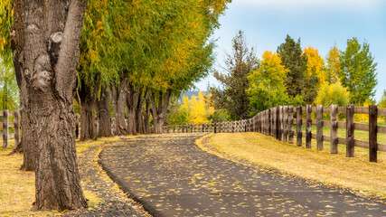 A country road surrounded by fall color in Bend Oregon during autumn.