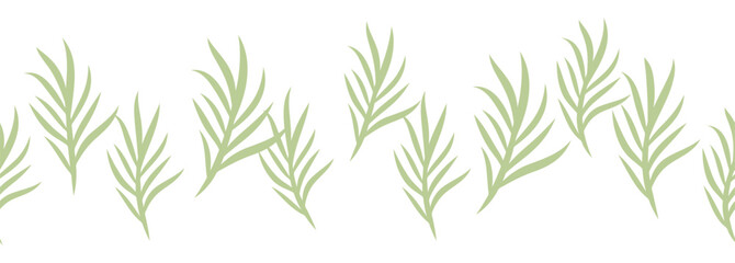 Fototapeta premium Leaves decorative, algae horizontal border seamless pattern