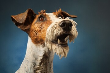 A charming fox terrier looking upward. Generative AI - obrazy, fototapety, plakaty