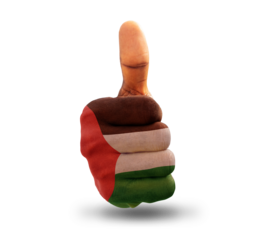 Thumbs up painted in Israelis flag colors isolated on transparent background. National flag of Israel