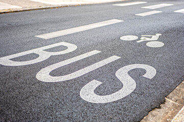 Signalisation voie réservée au bus et aux vélos - cyclistes - peinture blanche sur route - marquage au sol - obrazy, fototapety, plakaty