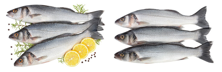 Sea bass fich isolated on white background . Top view. Flat lay