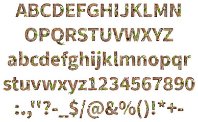 Orchid alphabet capital and lower case alphabet letter.
