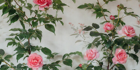 chinese rose tree plants birds mural chinoiserie wallpaper 