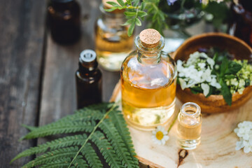 Concept of alternative herbal medicine. Bottles of tincture or potion, organic essential oils, dry healthy herbs, floral extracts on wooden table. Pure natural ingredients for cosmetic production