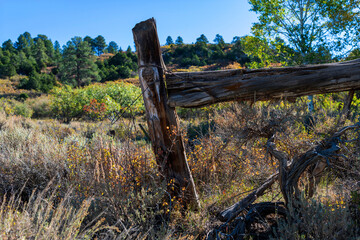 Wooden ranch fence at the edge of a high autumn meadow in western Colorado