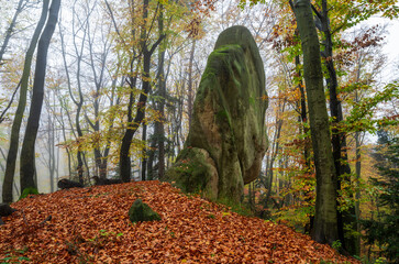 lonely rock in the autumn forest