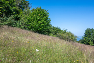 Landscape of Erul mountain near Kamenititsa peak, Bulgaria