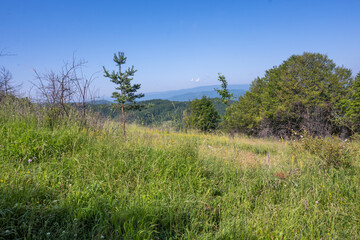 Landscape of Erul mountain near Kamenititsa peak, Bulgaria