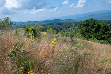 Landscape of Erul mountain near Kamenititsa peak, Bulgaria