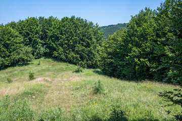 Landscape of Erul mountain near Kamenititsa peak, Bulgaria