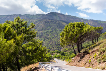 Asphalt automobile mountain road against backdrop of green mountains