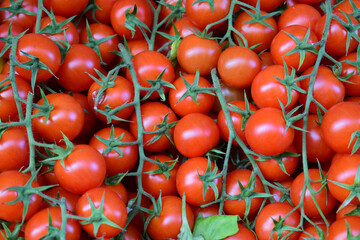 Closeup fresh tomatoes with panicle at a market