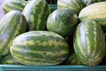 Large fresh watermelons in a box at the market