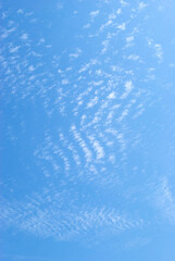 cirrocumulus clouds in blue sky