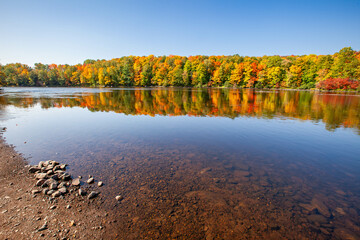 Reflection of a colorful forest in the Wisconsin River