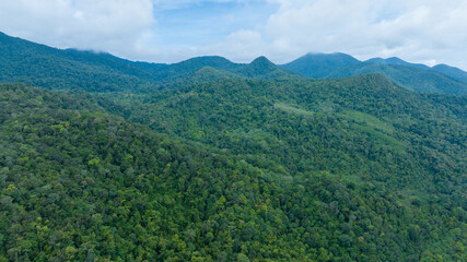 Aerial view of beautiful mountain natural green field of forest in the wild forest mountain ,Clean Air natural fresh Air concept