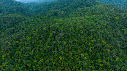 Fototapeta na wymiar Aerial view of beautiful mountain natural green field of forest in the wild forest mountain ,Clean Air natural fresh Air concept 