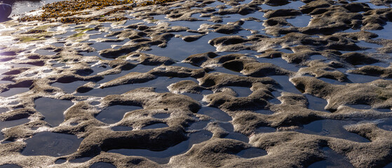 Rocky Shore on the Pacific Ocean Coast. Sunny Sunset. Botanical Beach, Port Renfrew, Vancouver Island, BC, Canada. Nature Background