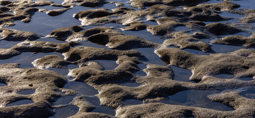 Rocky Shore on the Pacific Ocean Coast. Sunny Sunset. Botanical Beach, Port Renfrew, Vancouver Island, BC, Canada. Nature Background
