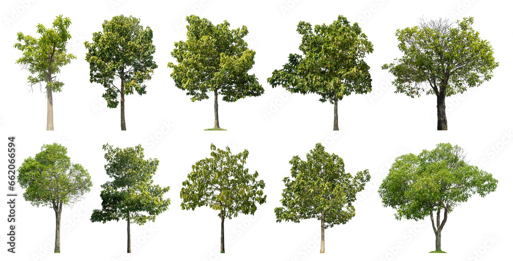 Poster Collection of green trees isolated on transparent background. for easy selection of designs.