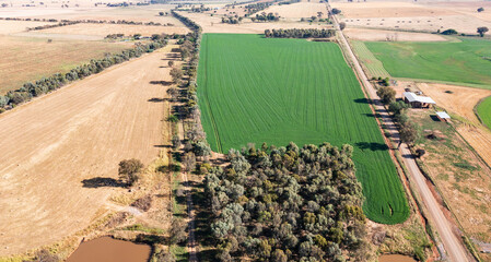 Aerial view cropping land - Canowindra NSW Australia