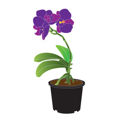 Orchid flower icon