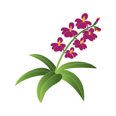 Orchid flower icon