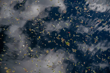 autumn in the mountains