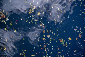 autumn in the mountains