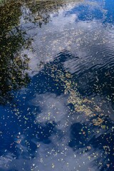 autumn in the mountains