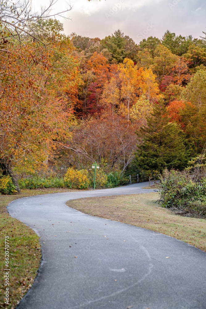 Canvas Prints autumn in the mountains