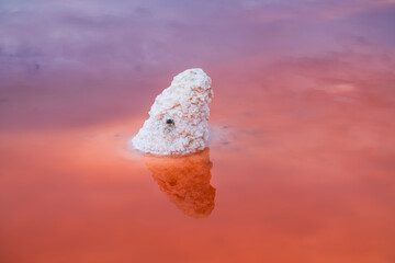 Pink Sal Flats at Alviso Marina Country Park