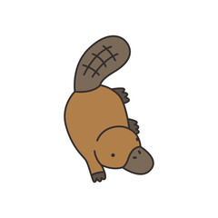 platypus icon. Cartoon platypus vector icon for web design isolated on white background