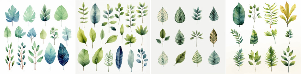 ornate painting watercolor graphic wallpaper drawing foliage oak drawn botanical herbal