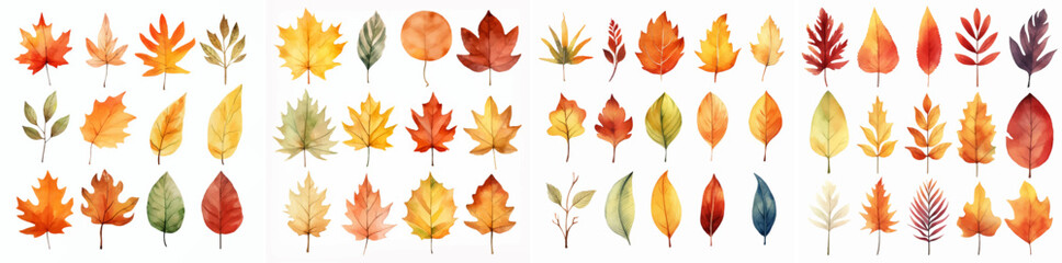 Naklejka na ściany i meble thanksgiving watercolor foliage oak botanical seasonal illustration maple cartoon set collection