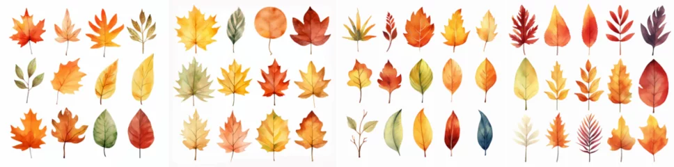 Foto op Plexiglas thanksgiving watercolor foliage oak botanical seasonal illustration maple cartoon set collection © shabanashoukat49