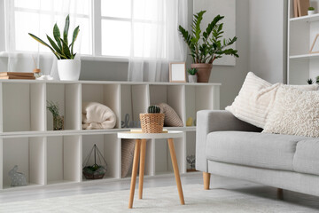 Interior of living room with grey sofa and houseplants