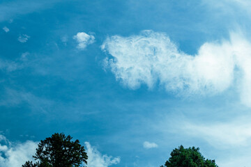青空と爽やかな秋の雲