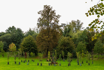 Enfield Living Memorial. The memorial is a heart shape spread of trees over thirty metres wide as a...